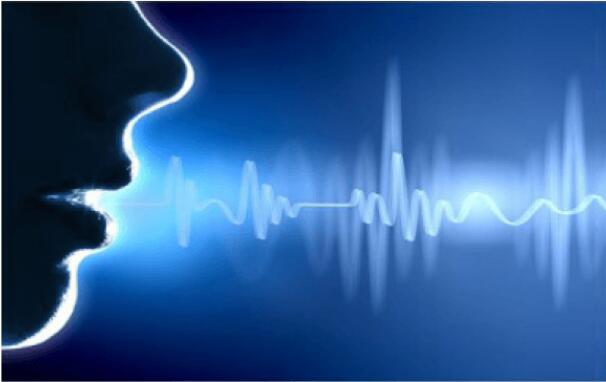 便攜式手機(jī)終端密取檢查系統(tǒng)